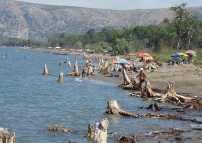 Identification and Implementation of Adaptation Response Measures in Drini-Mati River Deltas, Albania